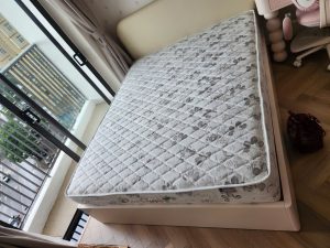 Z6767796882028 A781e2e9cd908edc4c13856548d0d193