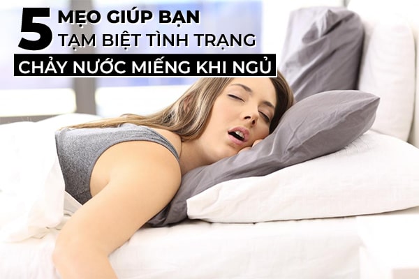 Meo Tranh Ngu Chay Nuoc Mieng Min